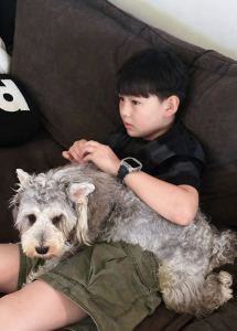 夜的钢琴曲五的演奏视频