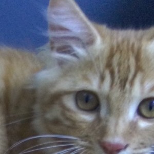 何方的个人空间