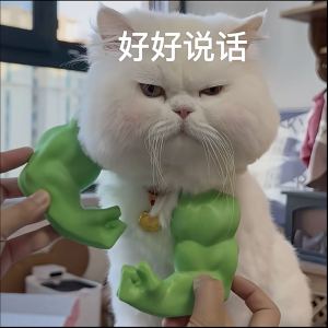 月心的个人空间