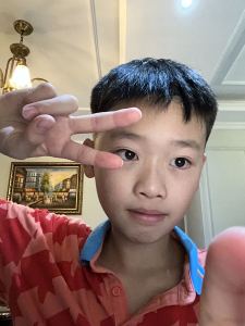 树的个人空间