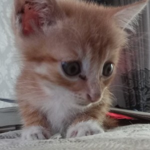 风簌的个人空间