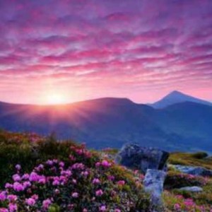 遇见的演奏视频