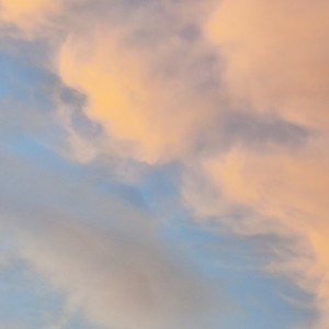 大鱼的演奏视频