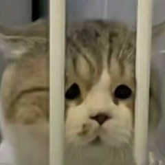 无(黑化中)的钢琴谱