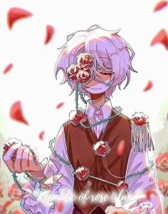 玫瑰岛共和国的个人空间