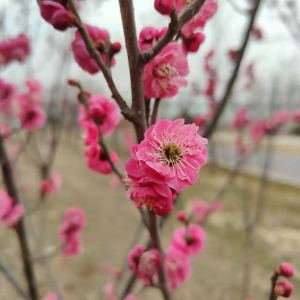 186****5401的个人空间