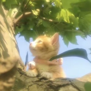 Zephyr·Sterling的钢琴谱