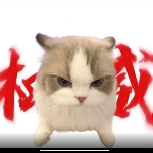 137****0800的钢琴谱