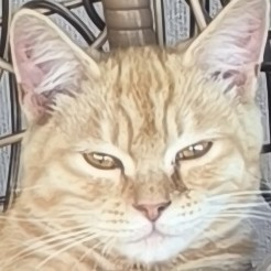 诀别书的个人空间