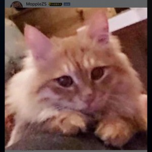 ~\(≧▽≦)/~的个人空间