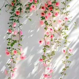 Charm And Rules的演奏视频