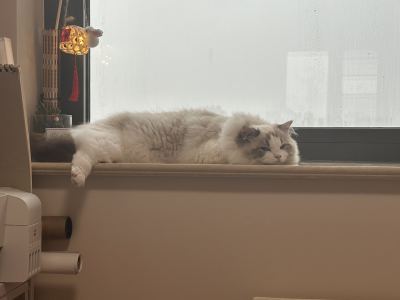 【猫武】屿䔡.mao(雷族炭毛)的个人空间