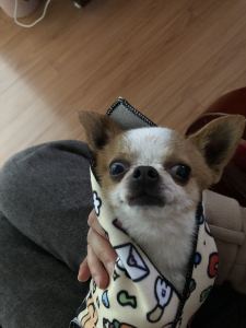 Bill bao的个人空间