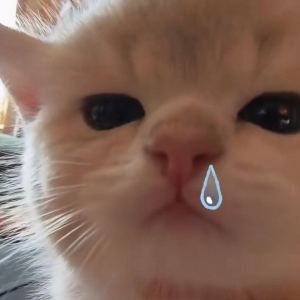 小黎不会弹琴的钢琴谱