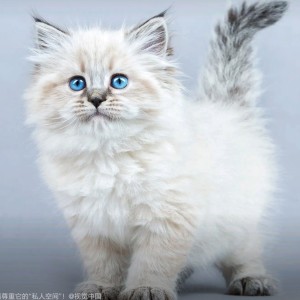 135****6810的个人空间