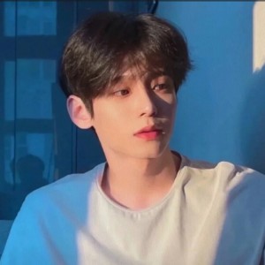 星⭐（退）的钢琴谱