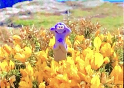 想翻身的咸鱼的个人空间