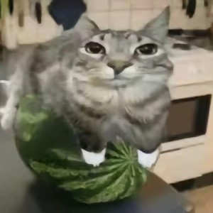 182****4862的钢琴谱