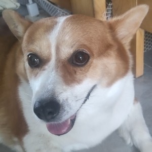 keyon言的个人空间