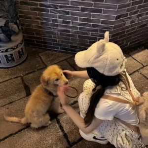 难解_的钢琴谱