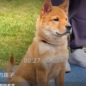 爱钢琴🎹的个人空间