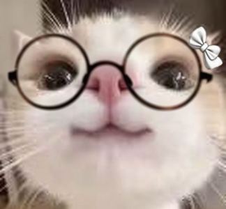 Flower Dance的演奏视频