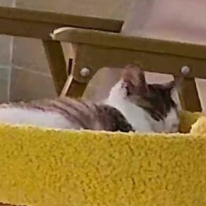 158****5828的个人空间