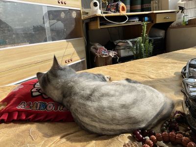 贝少芬的个人空间