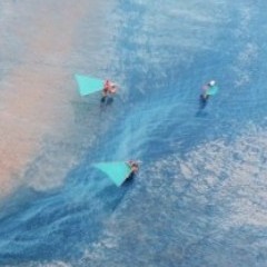 一只小海螺的钢琴谱