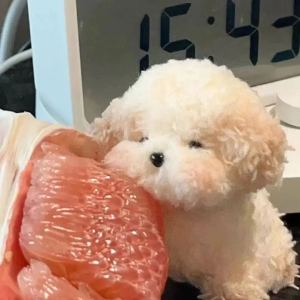 188****9099的钢琴谱