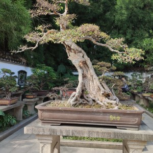 137****9857的钢琴谱