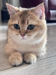 Lucky的个人空间