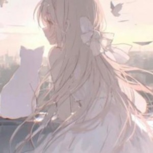 大鱼的演奏视频