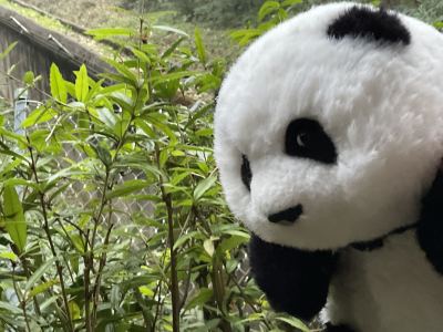 Ethan的钢琴谱