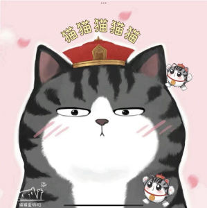 猫猫猫猫猫的个人空间