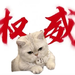 权威的钢琴谱