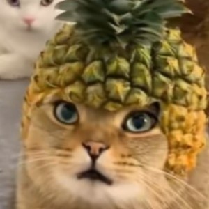 狐闹＿鸯儿画中游的钢琴谱