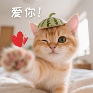 言舲的个人空间