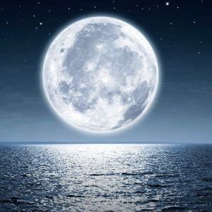 我是一株幼苗🌱的个人空间