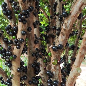 159****4886的个人空间