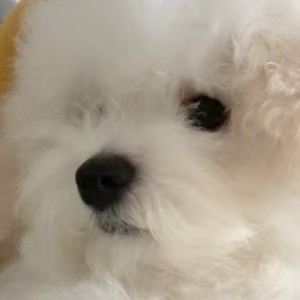 152****2058的钢琴谱