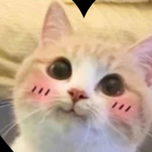 雾满晴天的个人空间