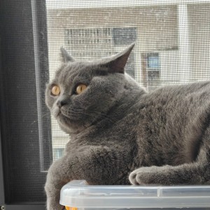 18971042493的钢琴谱