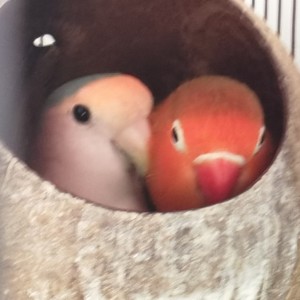 菩萨保佑,审核全过🙏🏻🙏的个人空间