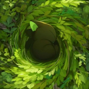 小赵(超过一百粉就改名)的个人空间