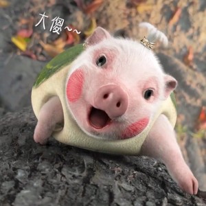 158****7390的钢琴谱