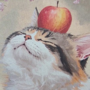 土拨数的钢琴谱