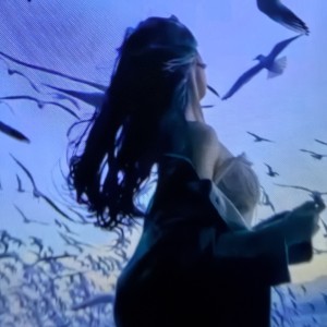 Nefert的钢琴谱