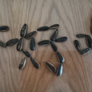 钰涵的钢琴谱