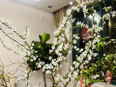 小月月的钢琴谱